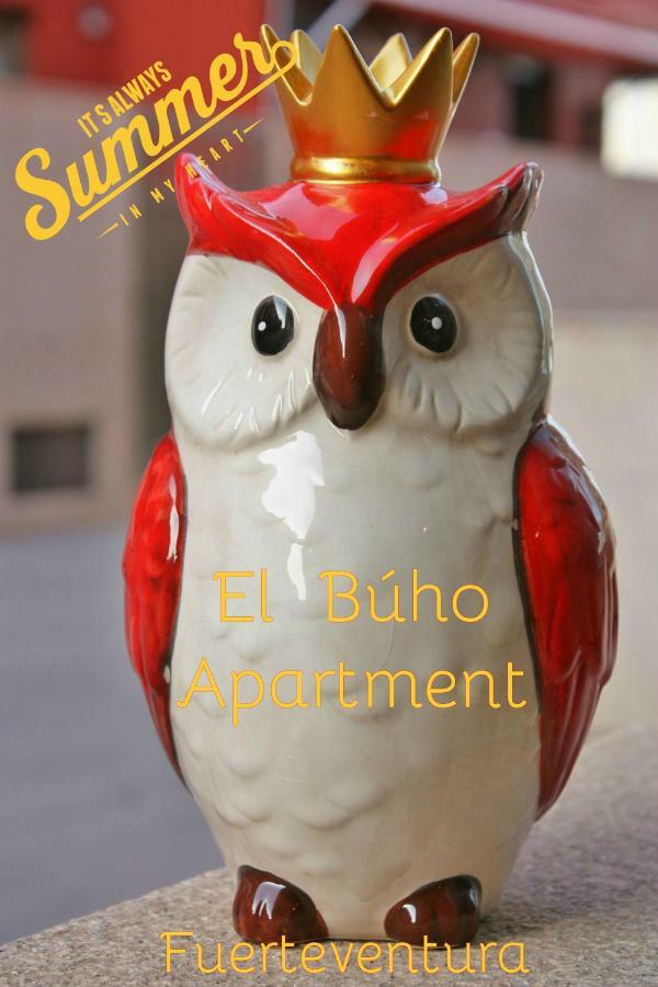 El Bùho Apartment Wi-Fi Puerto del Rosario  Extérieur photo